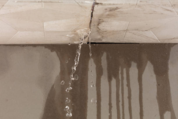 Professional Structural Drying technician working in Odd, WV